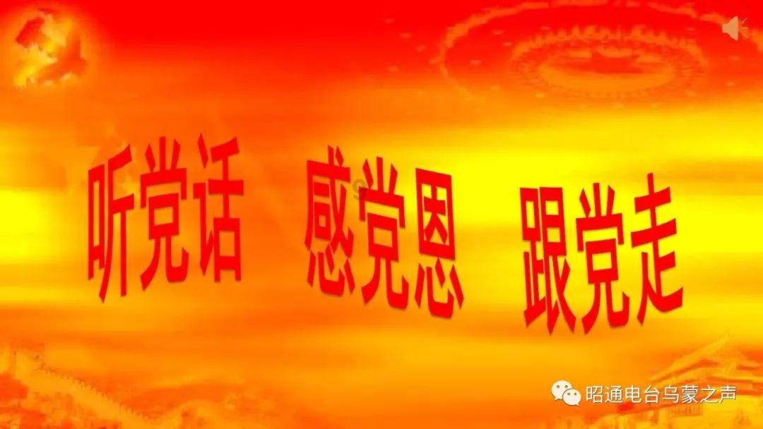 超数码宝贝4.0