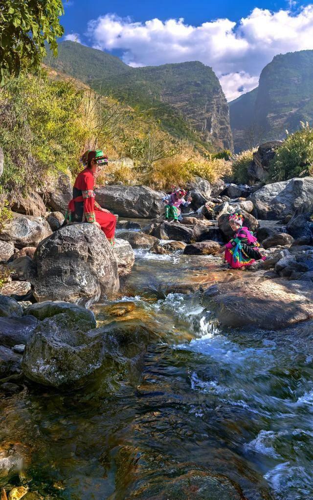 “花苑”飞进居民楼,“一脉三园”的故事更新了!杨浦颁布年度“睦邻”成果